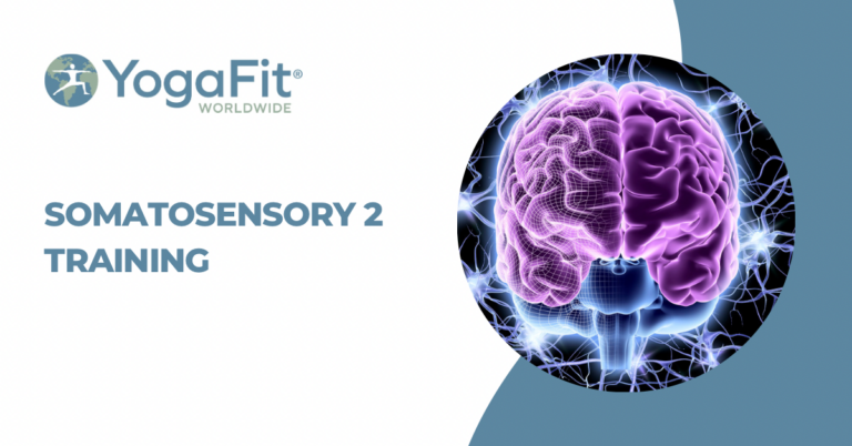 Somatosensory Yoga 2: Exploring the Body’s Wisdom Live at MBF