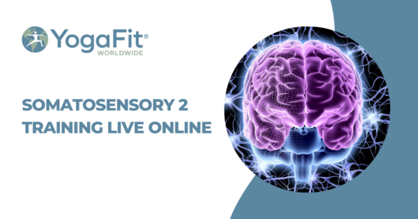 Somatosensory Yoga 2: Exploring the Body's Wisdom LIVE Online