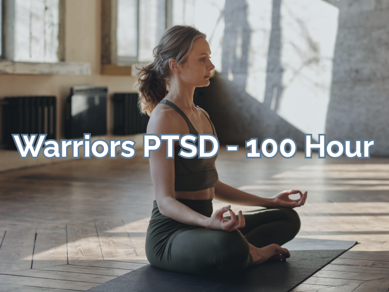 warriors ptsd 100 hour